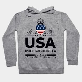 USA Football Vintage | Limited Edition! Hoodie